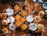 panellets1.gif