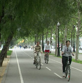 bici_diagonal.jpg